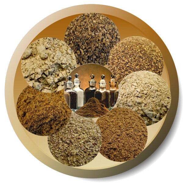 United States Defatted Wheat Germ