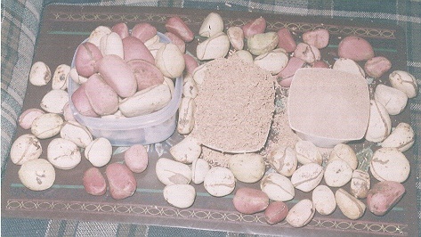 Nigeria Granulated & Powdered Kolanut