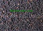 black pepper and white pepper