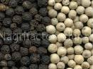 black pepper and white pepper