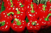 Thailand Sweet Chilli