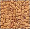 Quality Fenugreek Seeds (India)