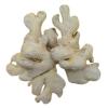 Dry Ginger (Nigeria)