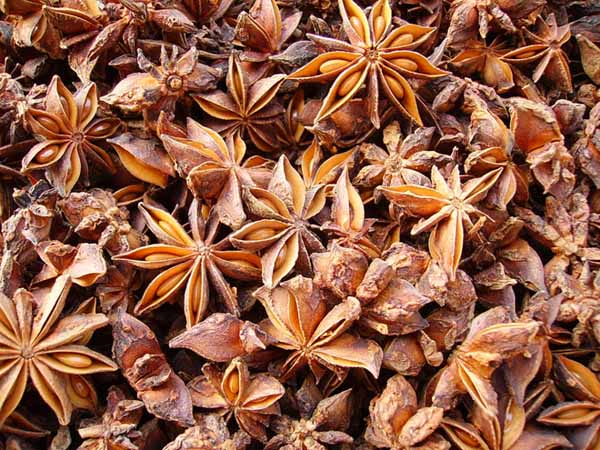 China (Mainland) Star Aniseed