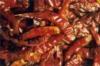 Red Chillies Whole & Powder (India)