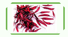India Dry Red Chilli Whole Dry Pepper S4 Type Sanam