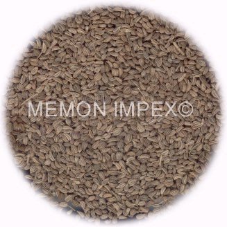 Pakistan Bishop\'\'s Weed - Ajwain (Trachyspermum Ammi)