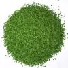 Dehydrate Green Chives (Thailand)