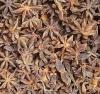 Star Anise (Vietnam)