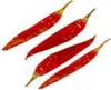 Spices & Food Ingredients (India)