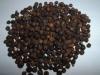 Black Pepper (United Kingdom)
