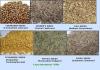 Cumin Seeds And Fennel Seeds (India)
