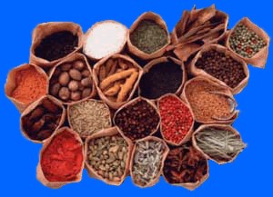 India Spices