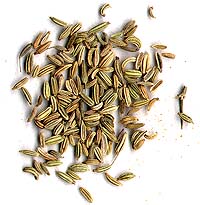 India Fennel Seed