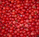 Brazil Pink Pepper