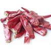 Chilli (Egypt)