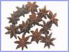 Star Aniseed (Vietnam)