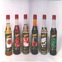 Chile Condiment oils