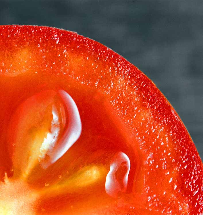 United Arab Emirates Tomato Paste
