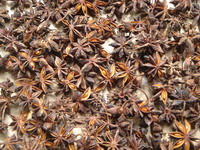 Vietnam Star Aniseed
