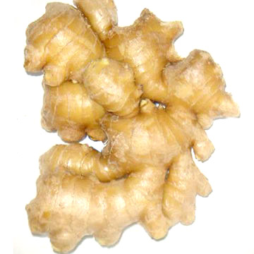 Ginger