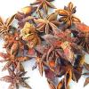 Star Aniseed Extract (China (Mainland))