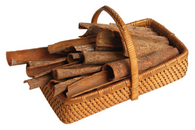 Vietnam Cassia