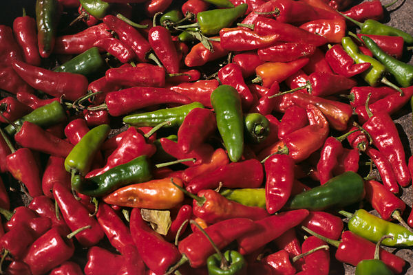 India Spices