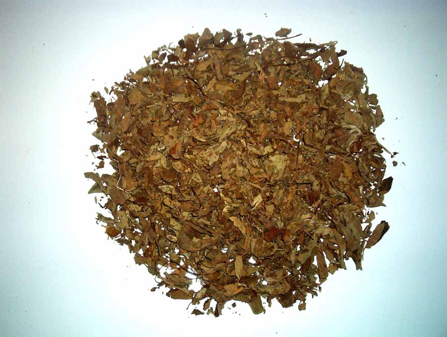 Guatemala Mexican Whole Leaf Oregano