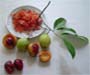 Sri Lanka Nutmeg
