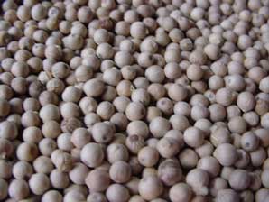 China (Mainland) White Pepper