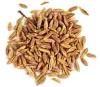 Indian Cumin Seeds (India)