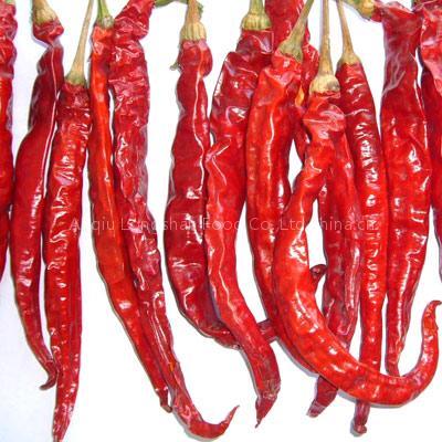 Yidu chilli