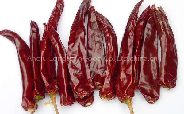 red chilli