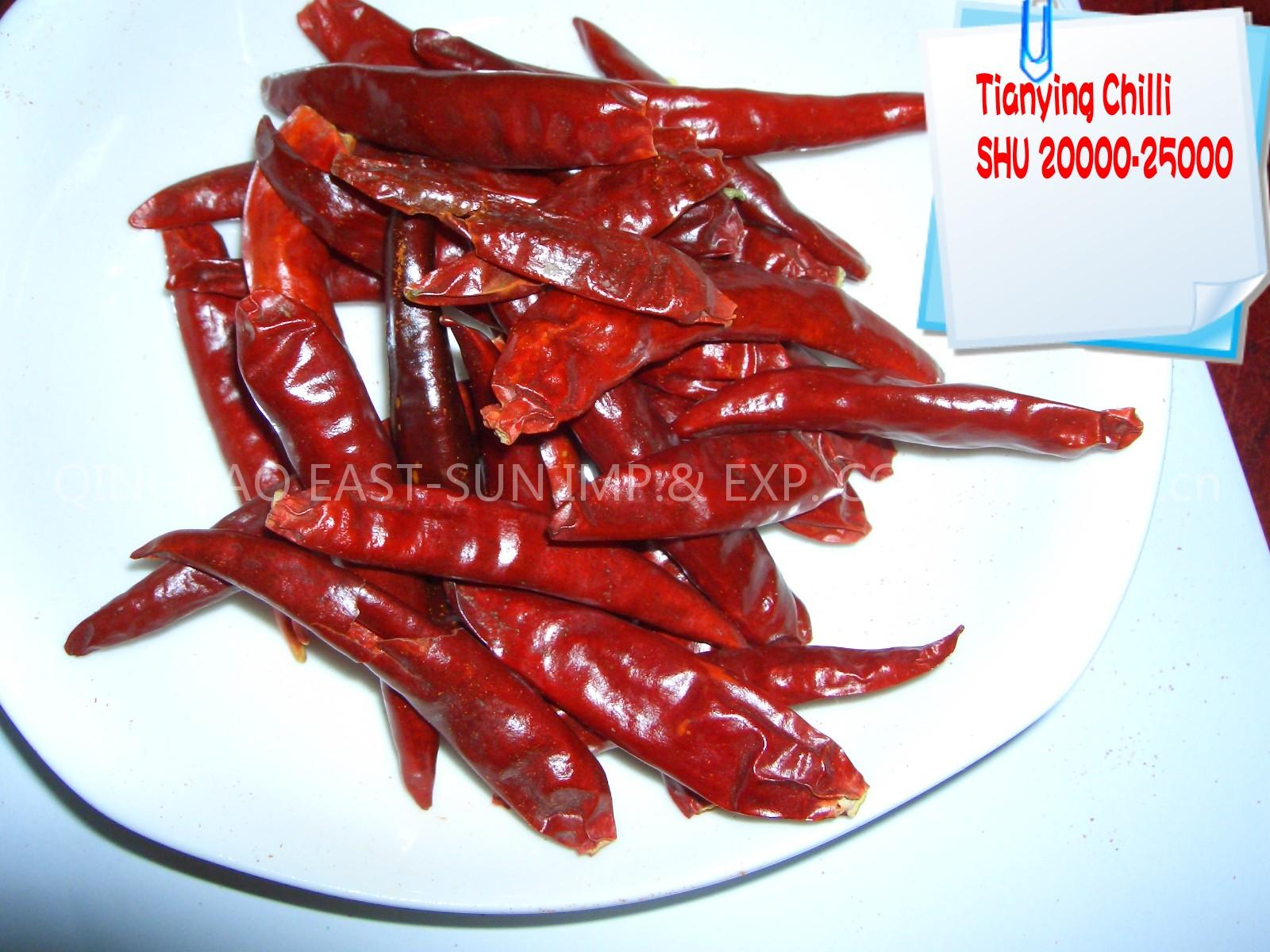 Hot Chilli