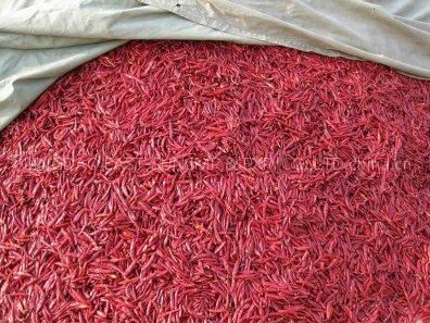 Tianying Chilli Pods
