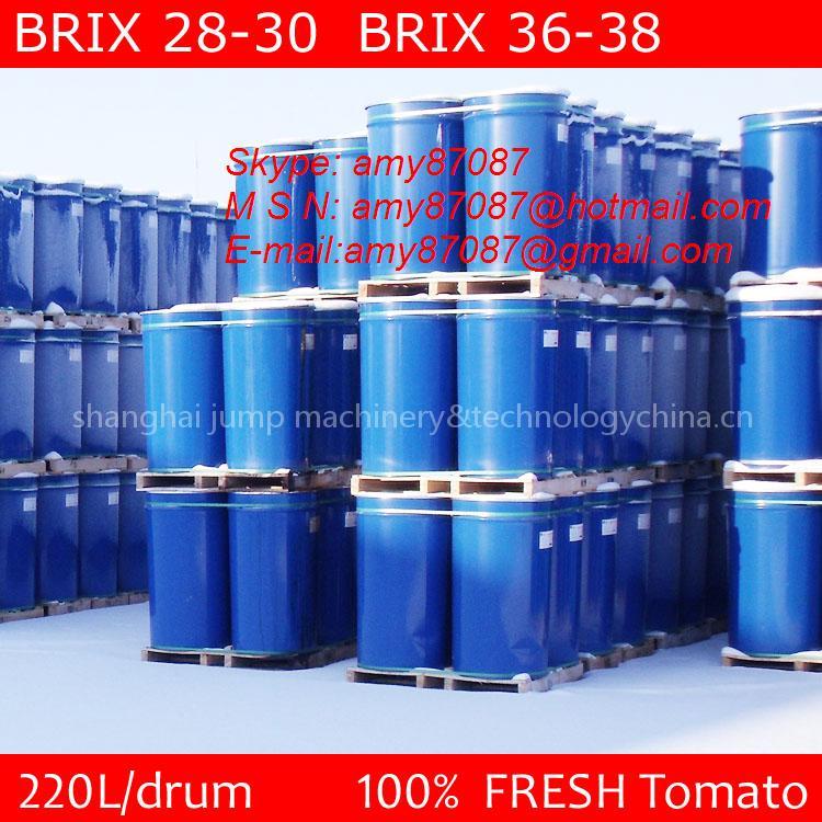Professional supplier for tomato paste in drum