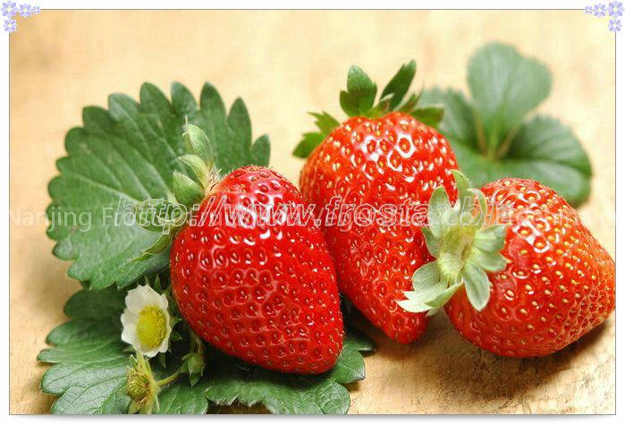 frozen strawberries