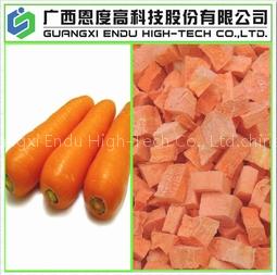 Freeze Dried Carrot (FD carrot)