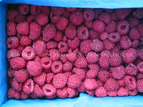 IQF red raspberry,IQF blackberry