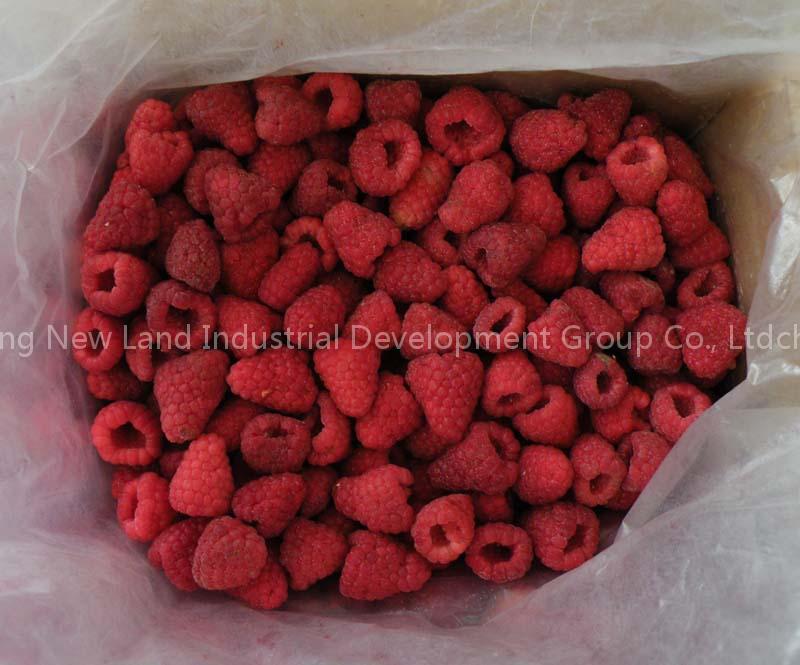 Frozen Raspberry