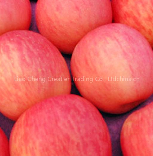 fuji apple