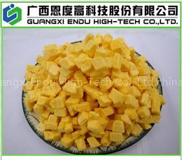 Freeze Dried Mango (FD mango)