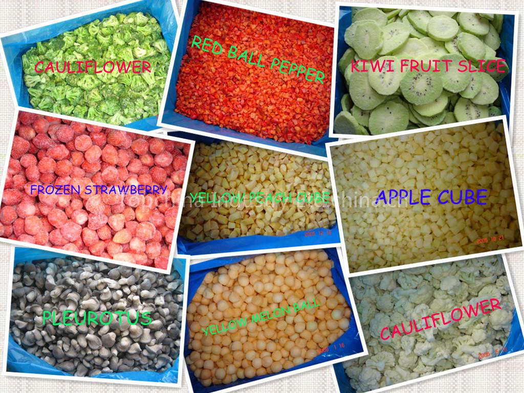 frozen food