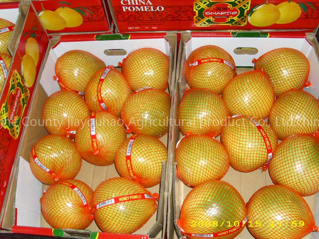 china Pomelo