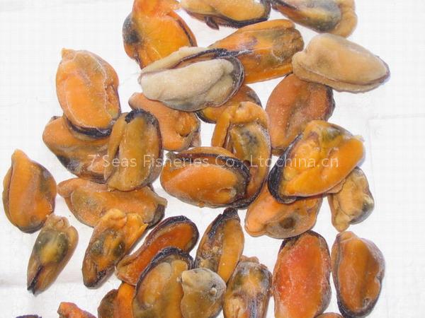 Blue Mussel meat
