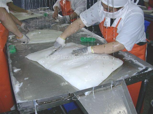 "Chilean Cuttlefish Fillet"