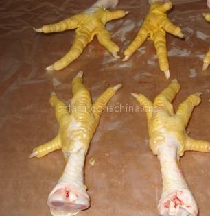 chicken feet