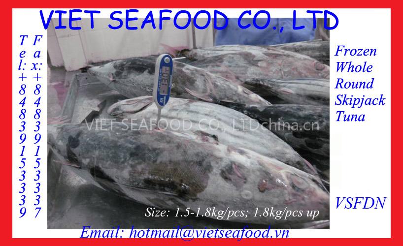 FROZEN SKIPJACK TUNA WHOLE ROUND