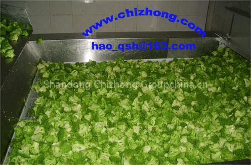 frozen broccoli